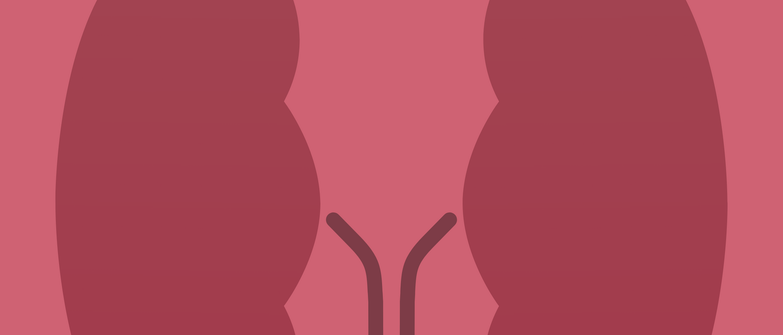 Kidney health