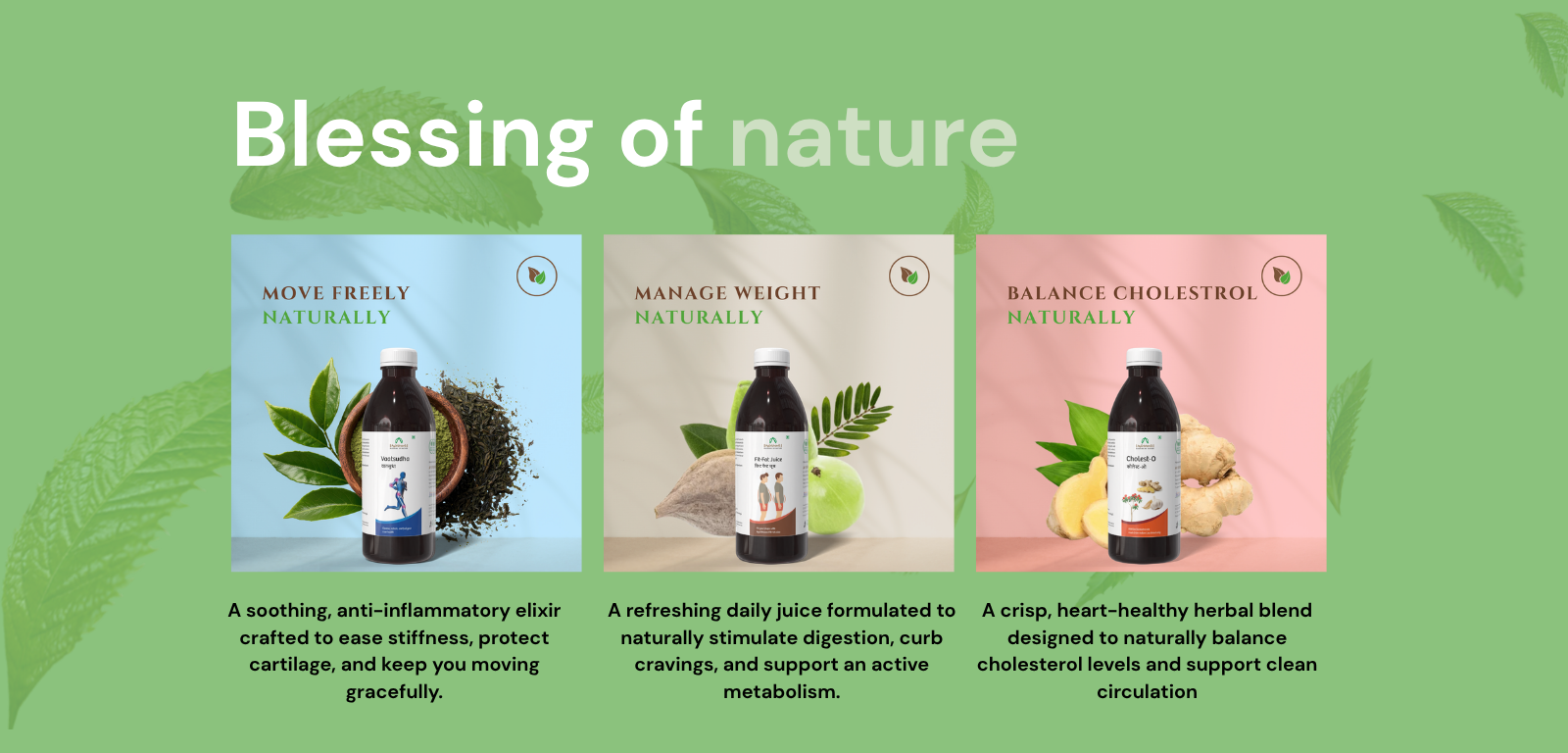 Wheatgrass Juice — Pure Chlorophyll Power