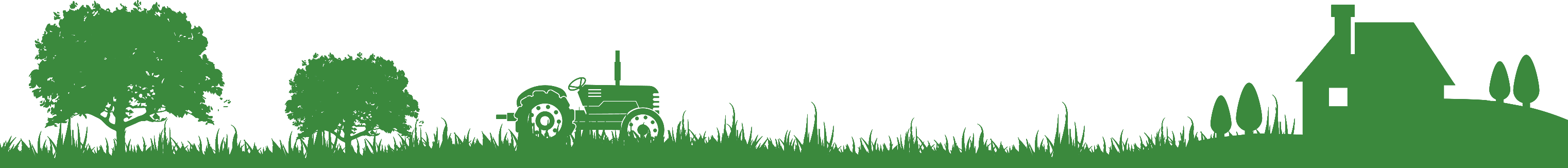 Desktop Image -bro