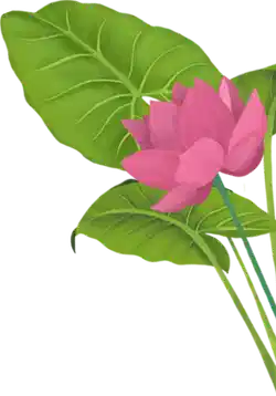 FORMULATED BY AYURVEDIC EXPERTS
AT AYURBHAVA NATURALS