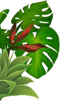 THE FINEST HERBS
SOURCED FROM NATURE'S BEST
